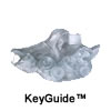 KeyGuide™